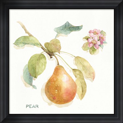 Framed Orchard Bloom II Print