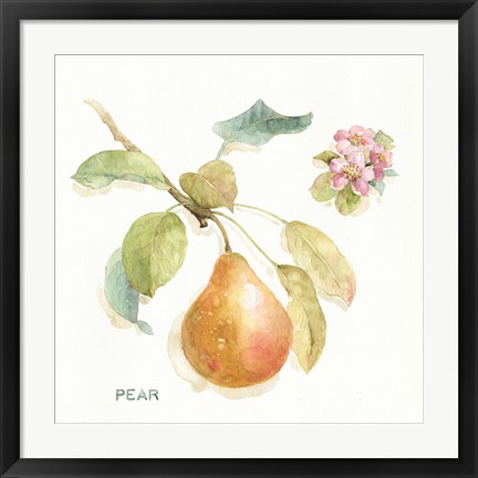 Framed Orchard Bloom II Print