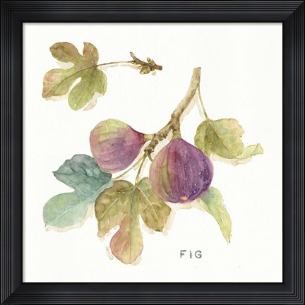 Framed Orchard Bloom III Print