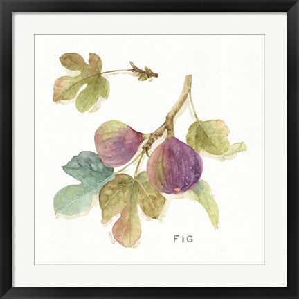 Framed Orchard Bloom III Print