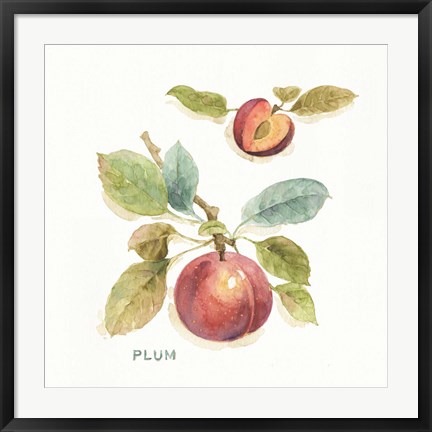 Framed Orchard Bloom IV Print
