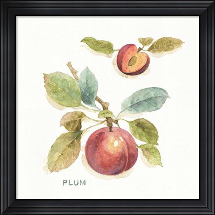 Framed Orchard Bloom IV Print