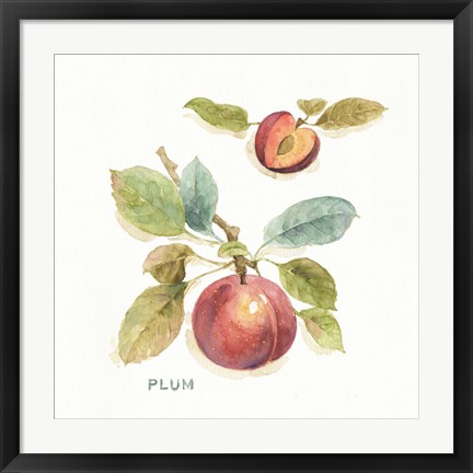 Framed Orchard Bloom IV Print