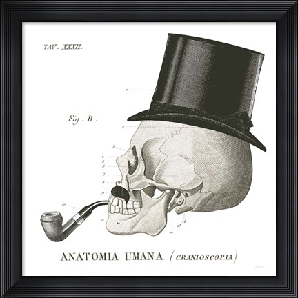 Framed Dandy Bones II Print
