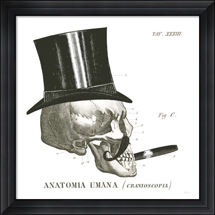 Framed Dandy Bones III Print