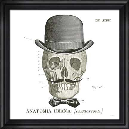 Framed Dandy Bones IV Print