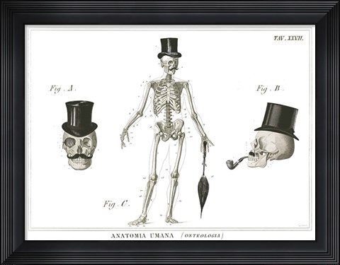 Framed Dandy Bones Print