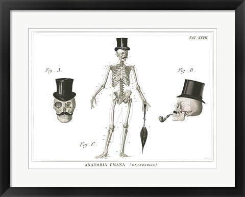 Framed Dandy Bones Print