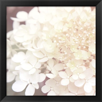 Framed Hydrangea Dream II Print