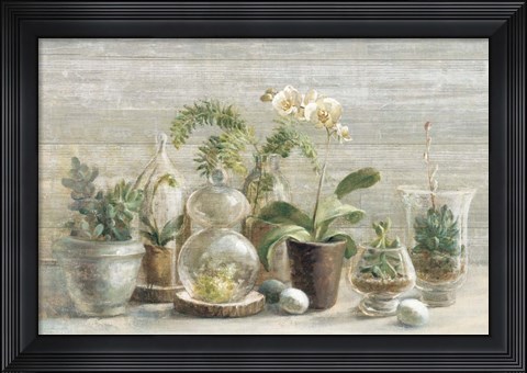 Framed Greenhouse Orchids on Wood Print