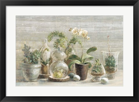 Framed Greenhouse Orchids on Wood Print