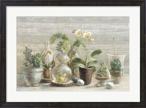 Framed Greenhouse Orchids on Wood Print