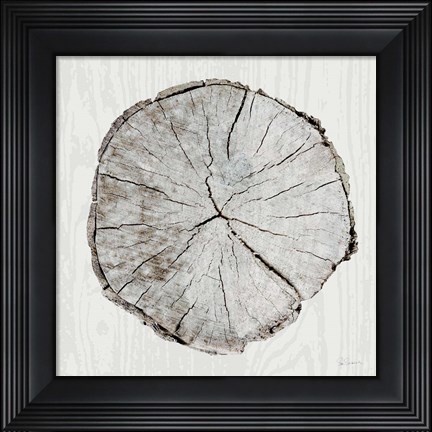 Framed Woodland Years I Print