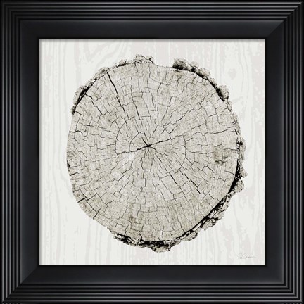 Framed Woodland Years II Print