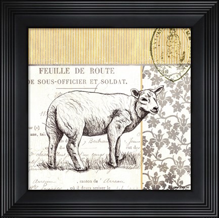 Framed Vintage Sheep Print