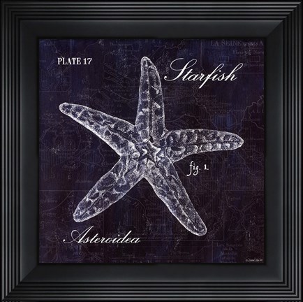 Framed Starfish Print