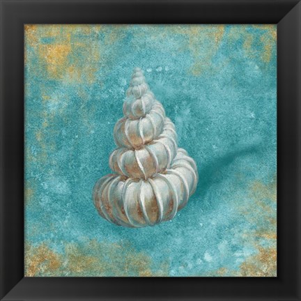 Framed Treasures from the Sea II Aqua Print