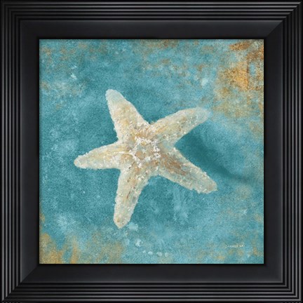 Framed Treasures from the Sea IV Aqua Print