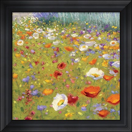 Framed Champ de Fleur II Print