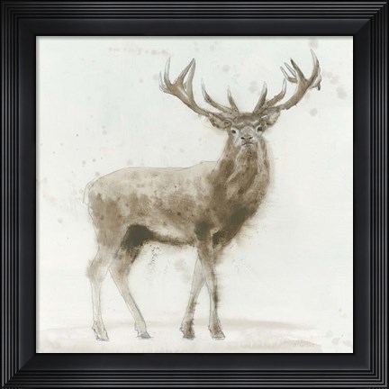 Framed Stag Print