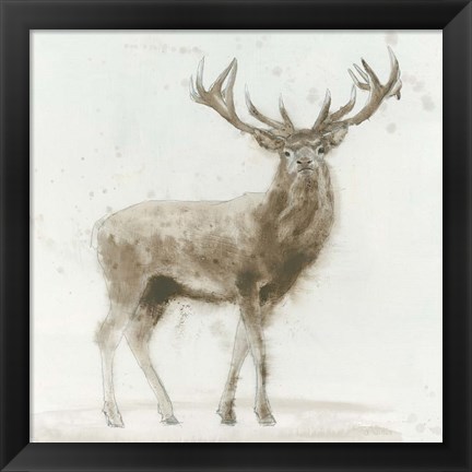 Framed Stag Print