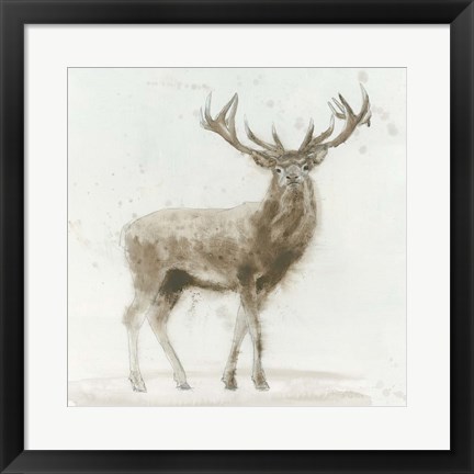 Framed Stag Print