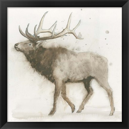 Framed Elk Print