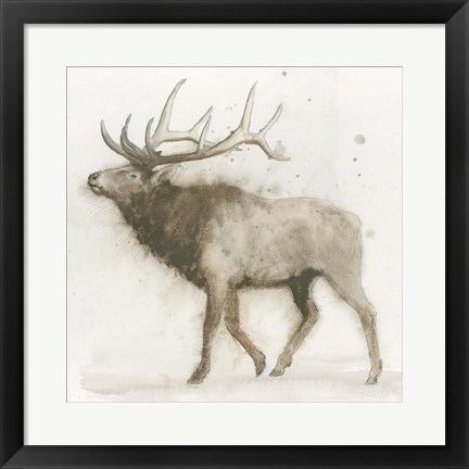 Framed Elk Print