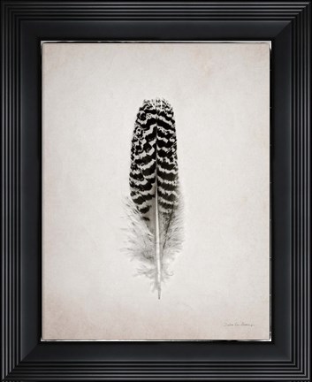Framed Feather I BW Print