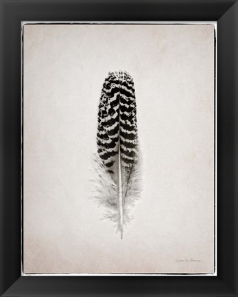 Framed Feather I BW Print