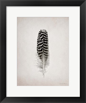 Framed Feather I BW Print