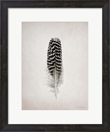 Framed Feather I BW Print