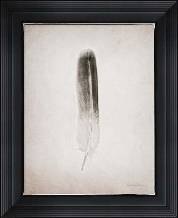 Framed Feather II BW Print