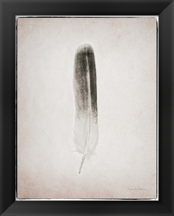 Framed Feather II BW Print