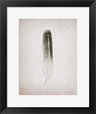 Framed Feather II BW Print