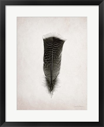 Framed Feather III BW Print