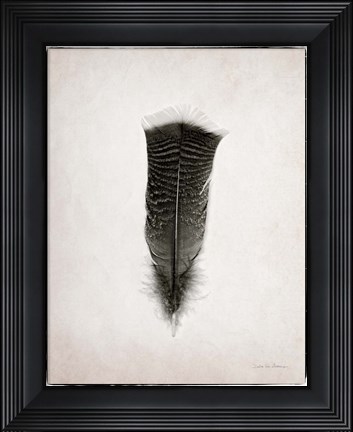 Framed Feather III BW Print