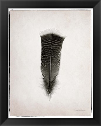 Framed Feather III BW Print