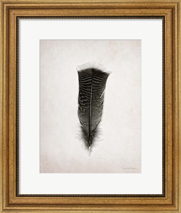 Framed Feather III BW Print