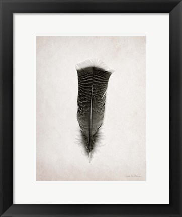 Framed Feather III BW Print