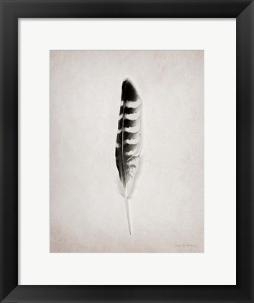 Framed Feather IV BW Print