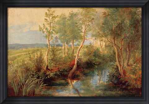 Framed Landscape Print