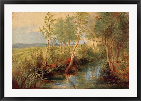 Framed Landscape Print