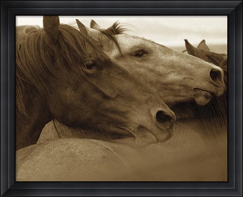 Framed Brothers Print