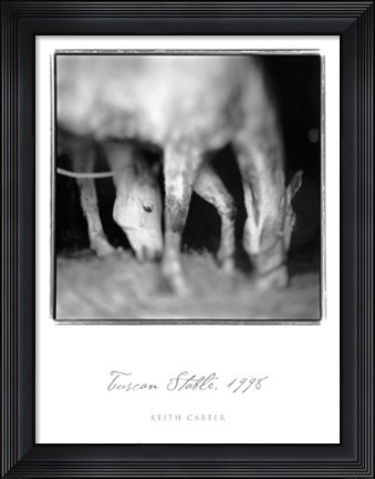 Framed Tuscan Stable, 1998 Print