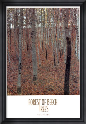 Framed Forest of Beech Trees Print