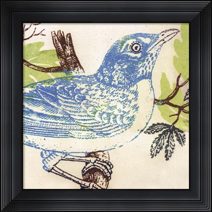 Framed Bluebird Print