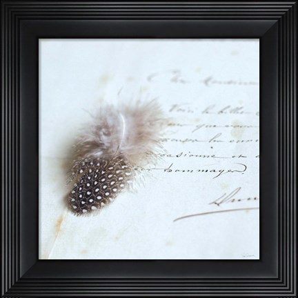 Framed Plume Letters II Print