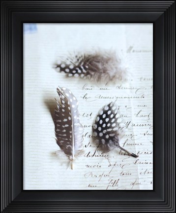 Framed Plume Letters VI Print