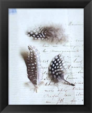 Framed Plume Letters VI Print
